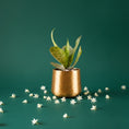 Load image into Gallery viewer, Mini Snake Plant With Metal Planter