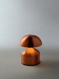 Load image into Gallery viewer, Coral Lamp