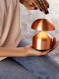 Load image into Gallery viewer, Coral Lamp