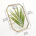 Load image into Gallery viewer, Octagon Glass Table-top Frame