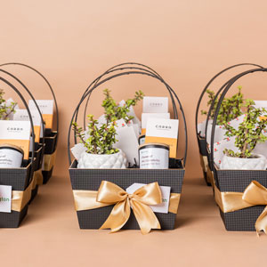 How to Choose the Perfect Sustainable Corporate Gift
