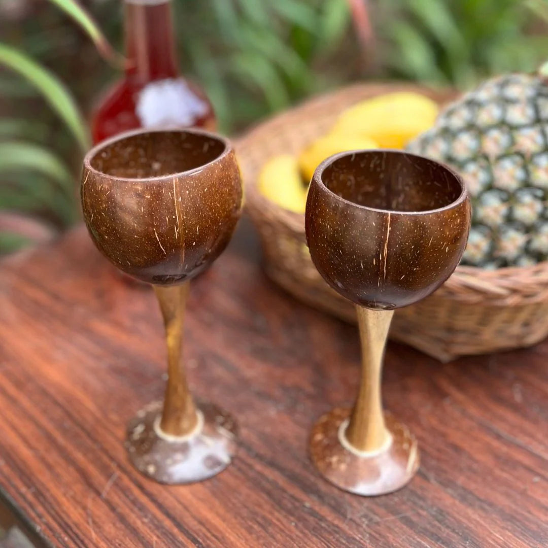Coconut Shell & Wooden Wine Glasses