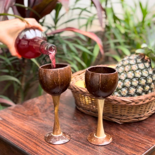 Coconut Shell & Wooden Wine Glasses