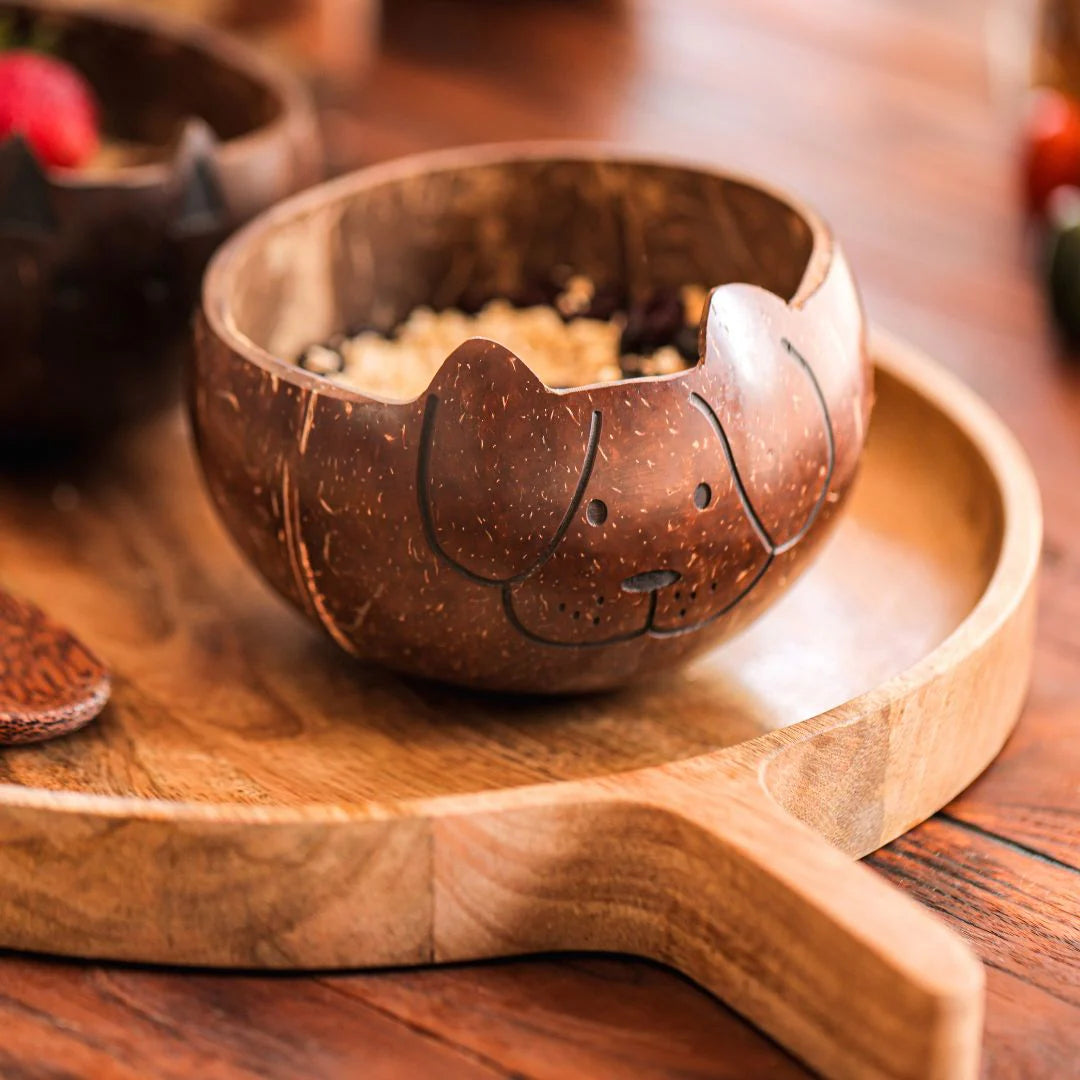 Coconut Shell Kids Bowl