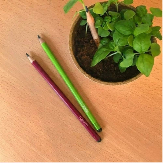 Seed Pencil