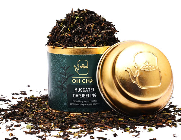 Muscatel Darjeeling Tea