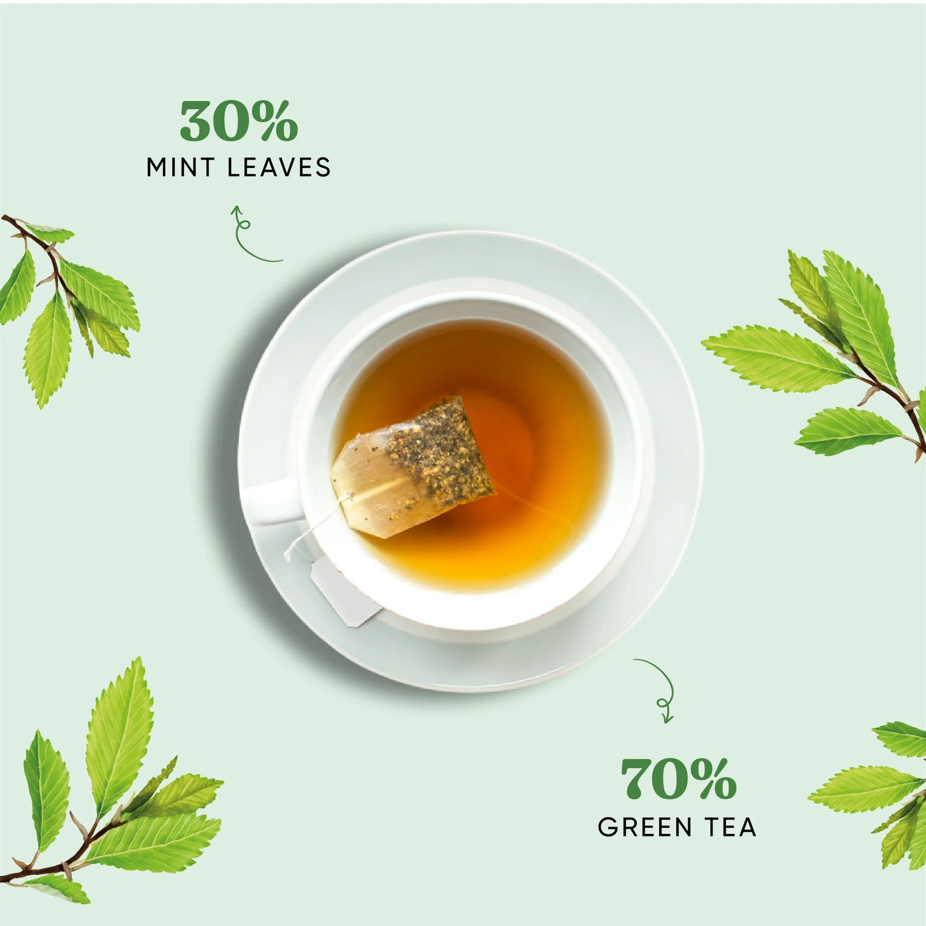 Mint Tea Pyramid Teabags