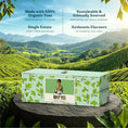 Load image into Gallery viewer, Mint Tea Pyramid Teabags
