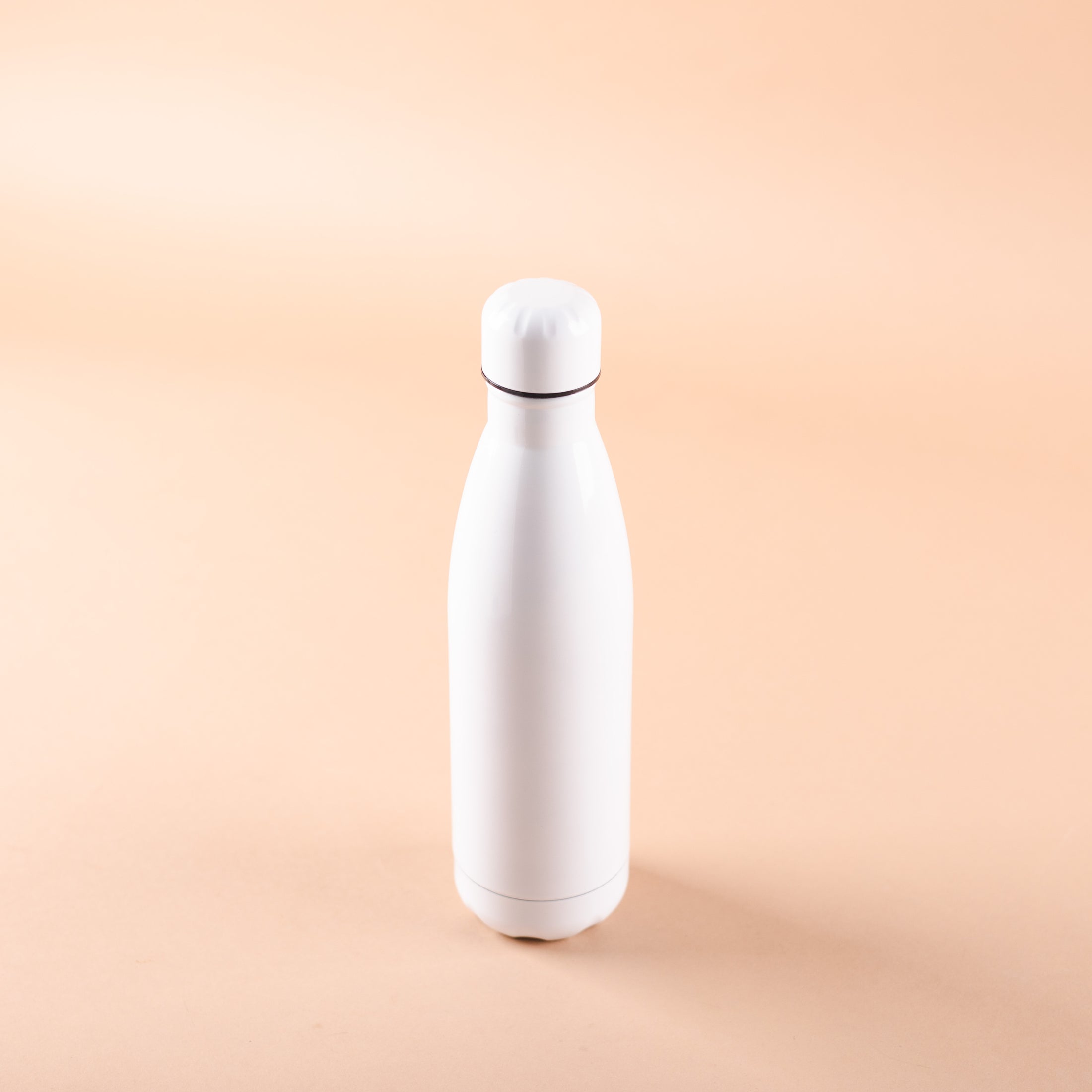 Stainless Steel Insulated Bottle (White)