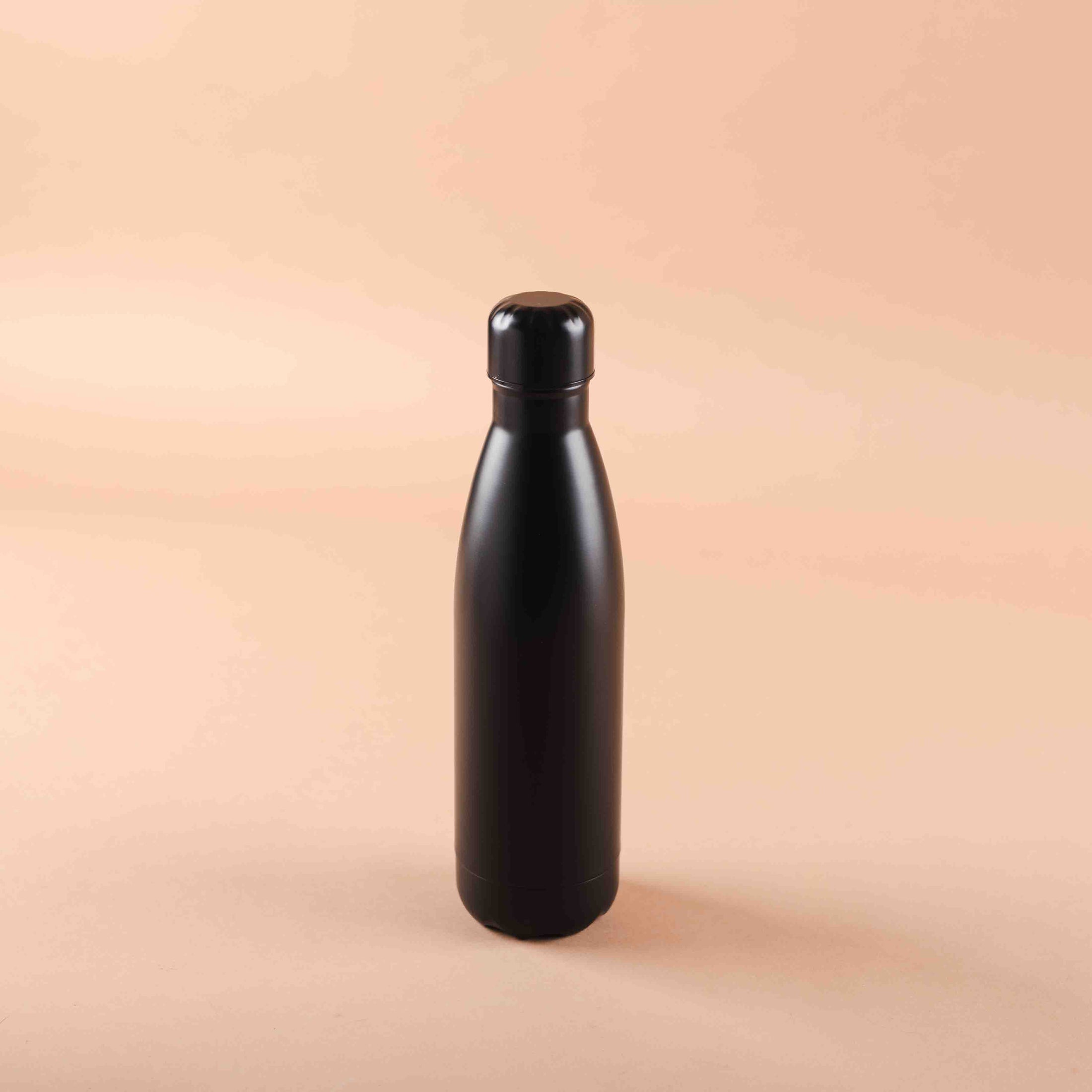Stainless Steel Insulated Bottle (Black)