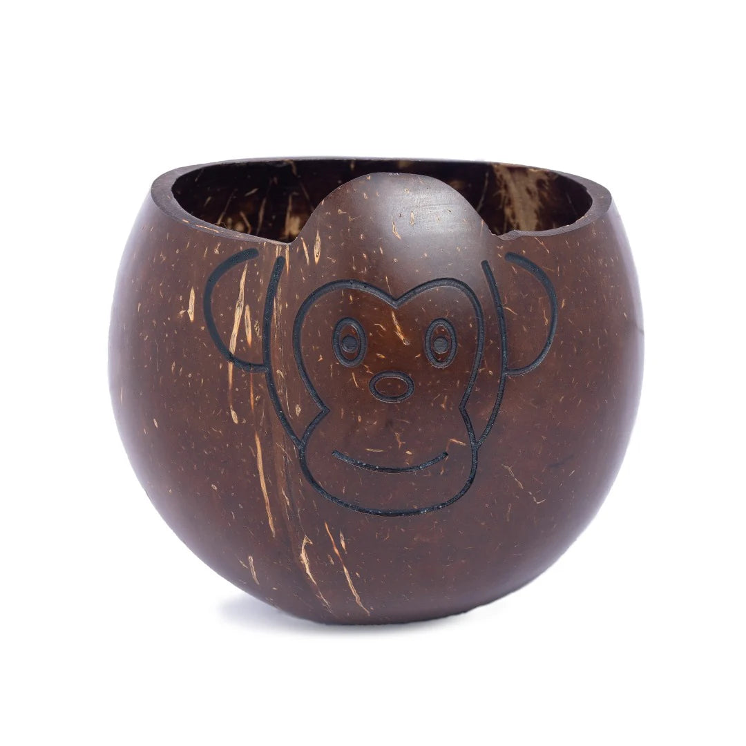 Coconut Shell Kids Bowl