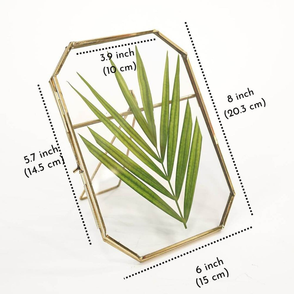 Octagon Glass Table-top Frame